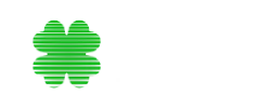WildTokyo