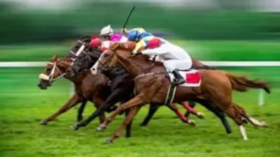 إستراتيجيات مراهنات سباق الخيل اون لاين